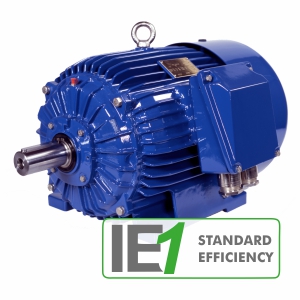 Cantoni SEh 80-2B Brake Motor
